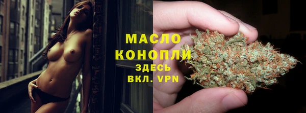 СК Новозыбков