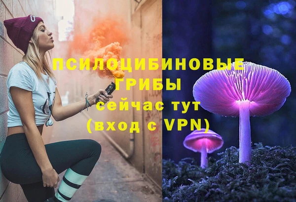 apvp Нягань