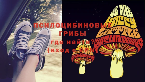 apvp Нягань