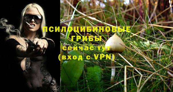 apvp Нягань