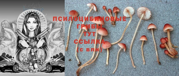 apvp Нягань