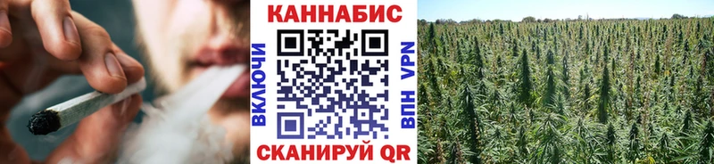 где найти Старая Русса МАРИХУАНА планчик